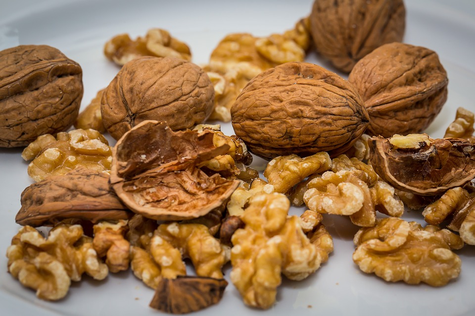 OILSEED SERVICE s.r.o. dodává na trh vyloupané vlašské ořechy